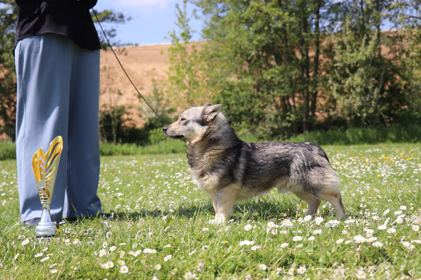 Twisty de l'Ame des Loups